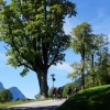 Radtour Bad Mitterndorf - Gmunden